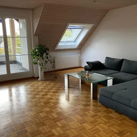 1 Wg Zimmer, Wohnzimmer Mit Kamin, Kueche Voll Ausgestattet, Grosser Balkon Mit Ausblick Schaffhausen Exterior photo