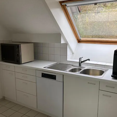 1 Wg Zimmer, Wohnzimmer Mit Kamin, Kueche Voll Ausgestattet, Grosser Balkon Mit Ausblick Schaffhausen Exterior photo