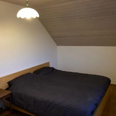 1 Wg Zimmer, Wohnzimmer Mit Kamin, Kueche Voll Ausgestattet, Grosser Balkon Mit Ausblick Schaffhausen Exterior photo