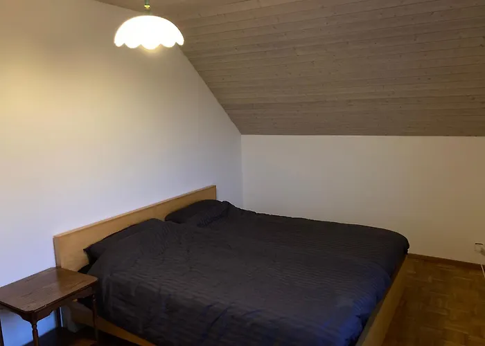 1 Wg Zimmer, Wohnzimmer Mit Kamin, Kueche Voll Ausgestattet, Grosser Balkon Mit Ausblick