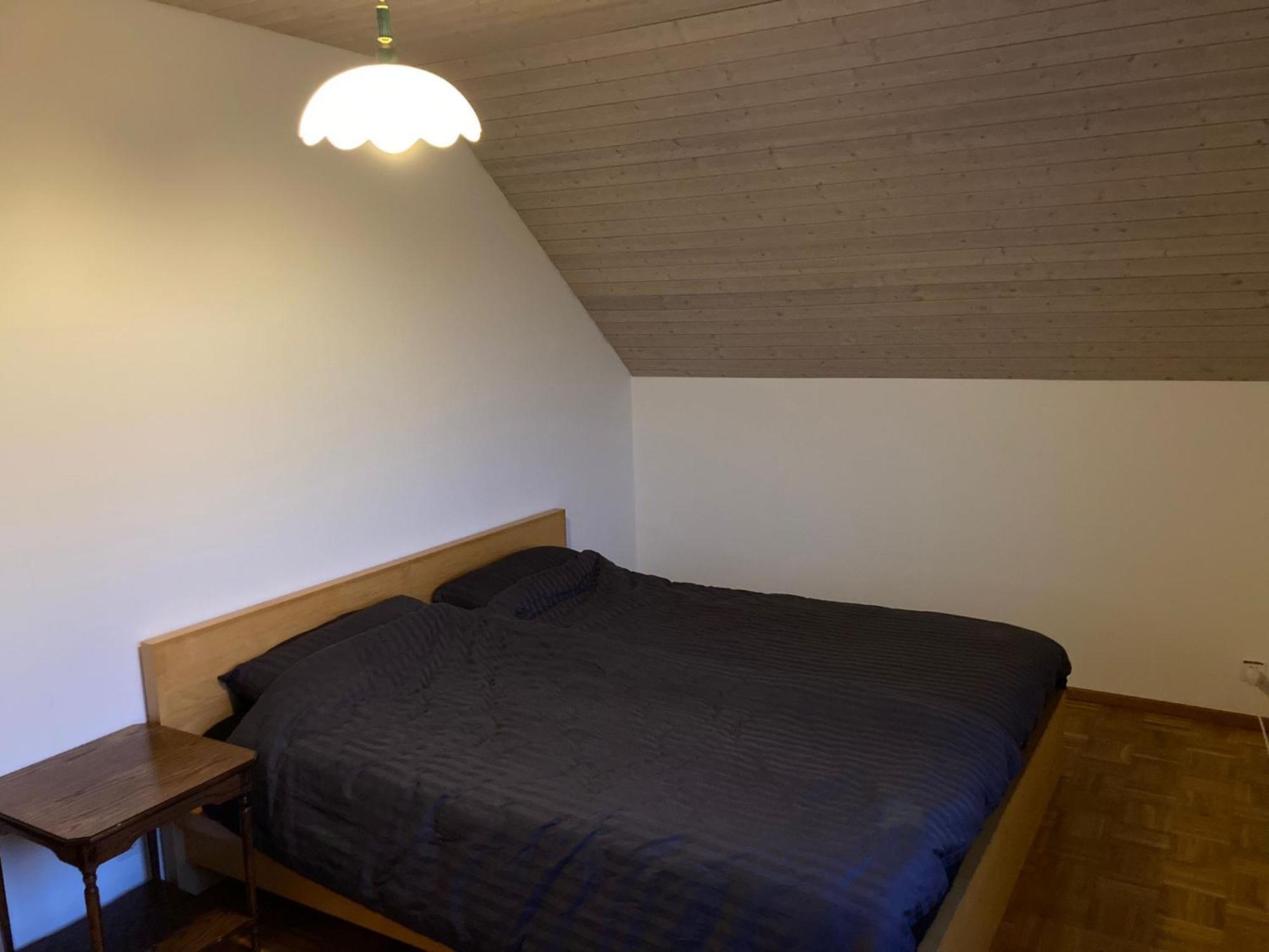 1 Wg Zimmer, Wohnzimmer Mit Kamin, Kueche Voll Ausgestattet, Grosser Balkon Mit Ausblick Homestay Schaffhausen