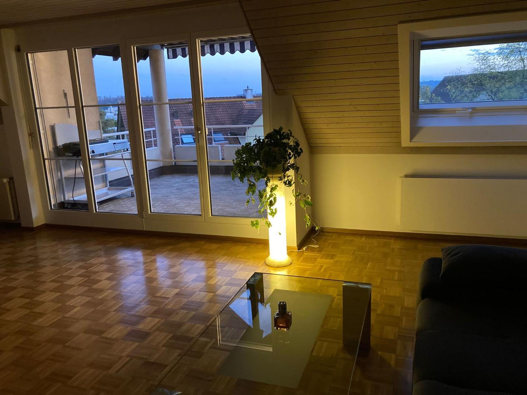1 Wg Zimmer, Wohnzimmer Mit Kamin, Kueche Voll Ausgestattet, Grosser Balkon Mit Ausblick Schaffhausen